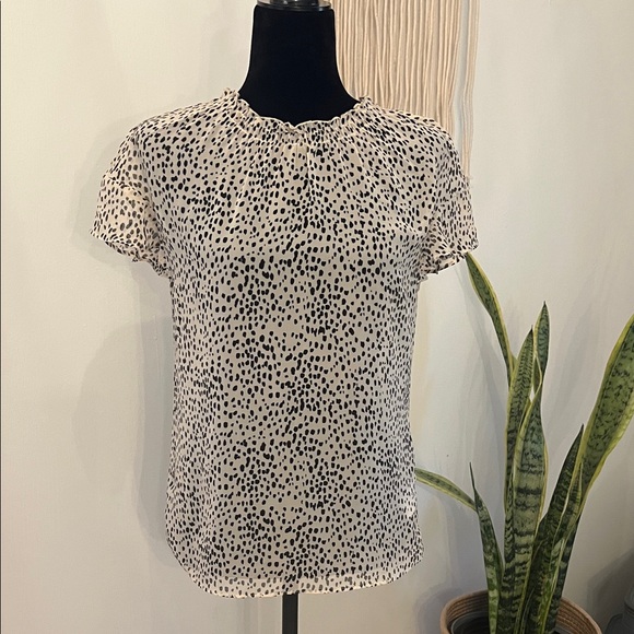 Express Tops - Express Sheer Black and White Polka Dot Women's Top